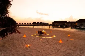 Romantic beach dinner